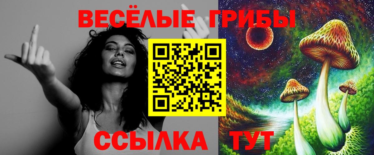 Галлюциногенные грибы Magic Shrooms Менделеевск