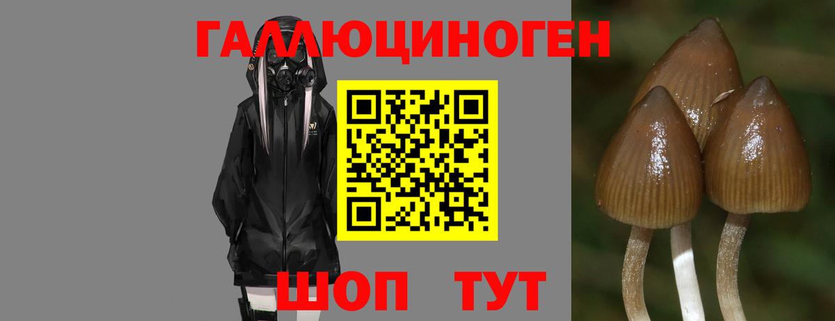 Галлюциногенные грибы Cubensis  Галлюциногенные грибы Psilocybe  Вход с VPN  Менделеевск 